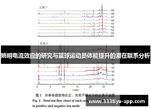 姚明电流效应的研究与篮球运动员体能提升的潜在联系分析